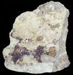 Purple/Yellow Cubic Fluorite & Calcite on Matrix - Illinois #32189-2
